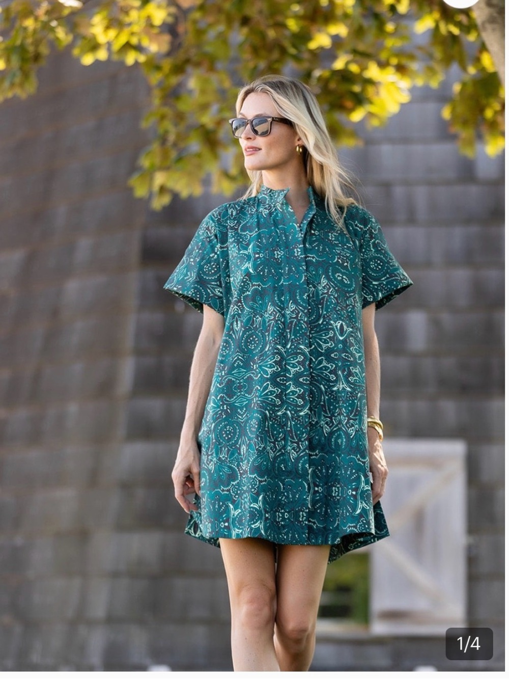 Julia Amory Twiggy Dress